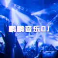 鹏鹏音乐、池立铎 - 你受了谁的伤