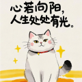 喵先生 - 我这样的男人