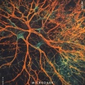 Microdark, Vol. 19