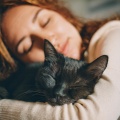Fuente binaural、Ondas Sonoras para Gatos、Estudio de Música para Gatitos - Flujo Suave Para Una Noche De Gatos