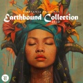 Earthbound Collection 2025