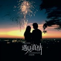 遇见真情（DJ京仔粤语金曲版）