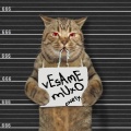 Vesame Muxo (Explicit)