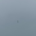 quiet - Сегодня холодно