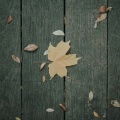 Last you