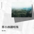 蔡小林 - 人间烟火