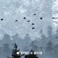 灰飞烟灭