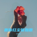 李小莫 - 愿你红尘皆如愿