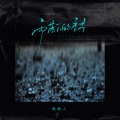 杨树人 - 雨落下的季节