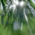 古筝沁芸 - 兰陵王鼓