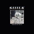 siiilk.、Pico - Counting Shapes