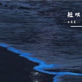 洛笙笙 - 短叹 (房东的猫「世界青年」2023巡回演唱会上海站)