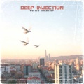 DEEP INJECTION - The Darkside Of The Moon