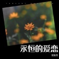 倪金茂 - 永恒的爱恋