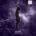 NED RO - Synapse