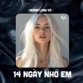 Hoàng Long Vũ、Đinh Đại Vũ - 14 Ngày Nhớ Em (HLV Remix)