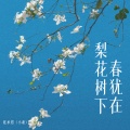 张承煜（小魂） - 梨花树下春犹在