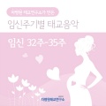 임신 32주-35주 6일 (Prescription Music for Fetus (224-251 Days))