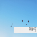 杨尚龙 - 你的样子