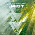 In the Woodland Mist