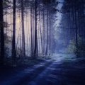 Soothing Harmony: Calm Music for Quiet Nights