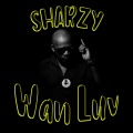 Sharzy - Dancing the Night Away