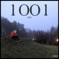 ZIIO - 1001