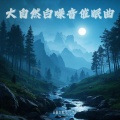 大自然的声音|虫鸣 鸟叫 下雨 流水声|白噪音催眠曲轻音乐|助眠减压 |深度睡眠轻音乐