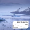 段开全 - 红尘有情