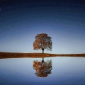 25 Atmospheric Soundscapes: Calm Moments