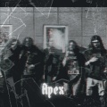 Apex (feat. Anti-Hero)