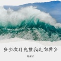 陈保才 - 异乡的月光