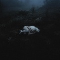 Coven - Thorn Coffin