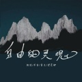 余江柳 - 情为何意
