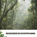 Regengeräusche entspannen: Melodien des Monsuns