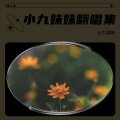 小九⁹ - 如火
