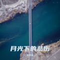 月光下的悲伤