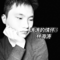 林海涛 - 满山春色