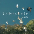 冻梨不动 - 忘不掉的你dj