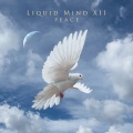 Liquid Mind - Communication Radio Edit