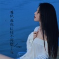 灵魂KK - 晚风说你已经不再属于我