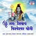 Om Namah Shivay Vishveshwar Yogi