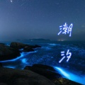 路小婉 - 总有一些话来不及说了