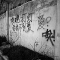 艺术佳 - 爱哎唉
