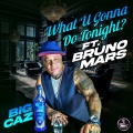 Big Caz - What U Gonna Do Tonight