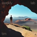 Weekly Lab - tim