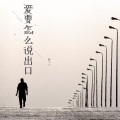 赵十三 - 爱要怎么说出口
