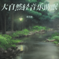 李宗鹏 - 疗愈助眠 失眠催眠曲