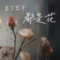 何雅楠 - 盛不盛开都是花