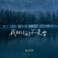 张妙格 - 我期待的不是雪
